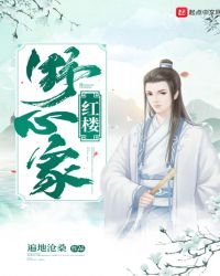 红楼野心家