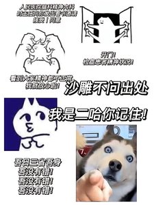 沙雕不問出處,我是二哈你記住!/萬人迷二哈在戀綜靠沙雕爆紅