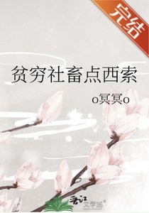 (綜漫同人)貧窮社畜點西索
